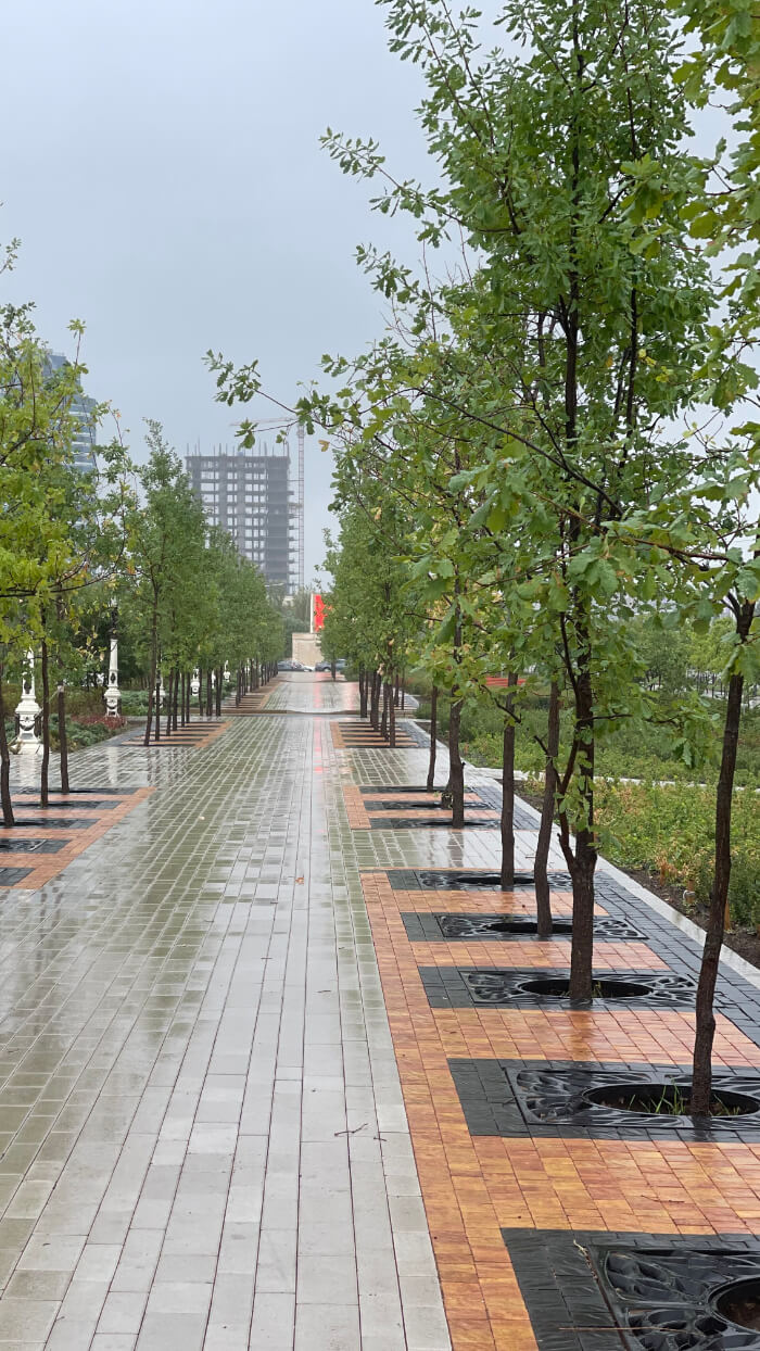 Приствольная решетка для дерева ZKING CRUST 1.2х1.2м Черная в Армавире фото